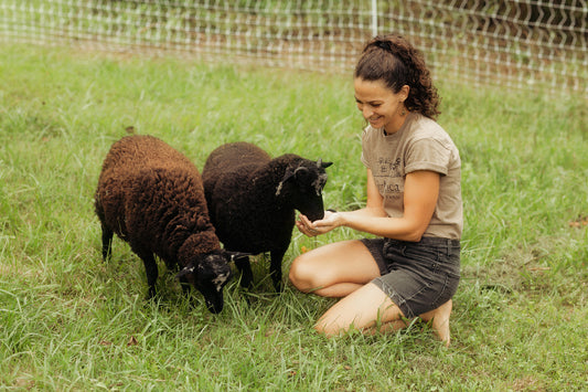 Farm Tour - June 7th from 2pm to 4pm