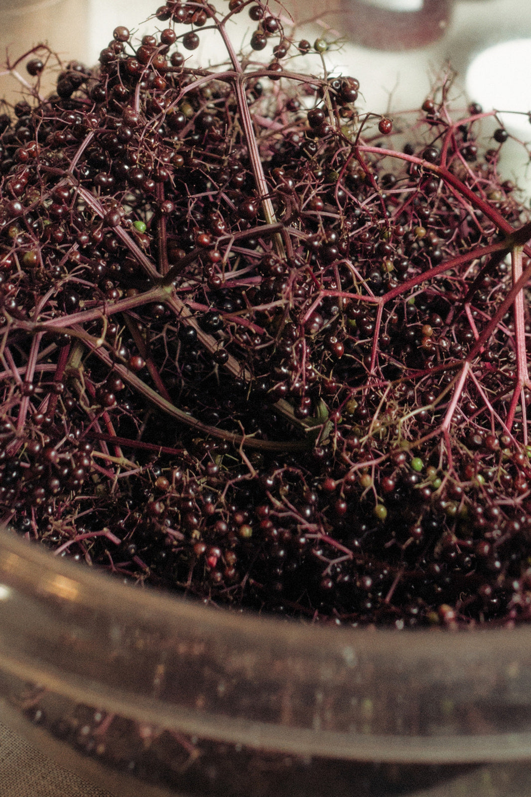 Elderberry Syrup
