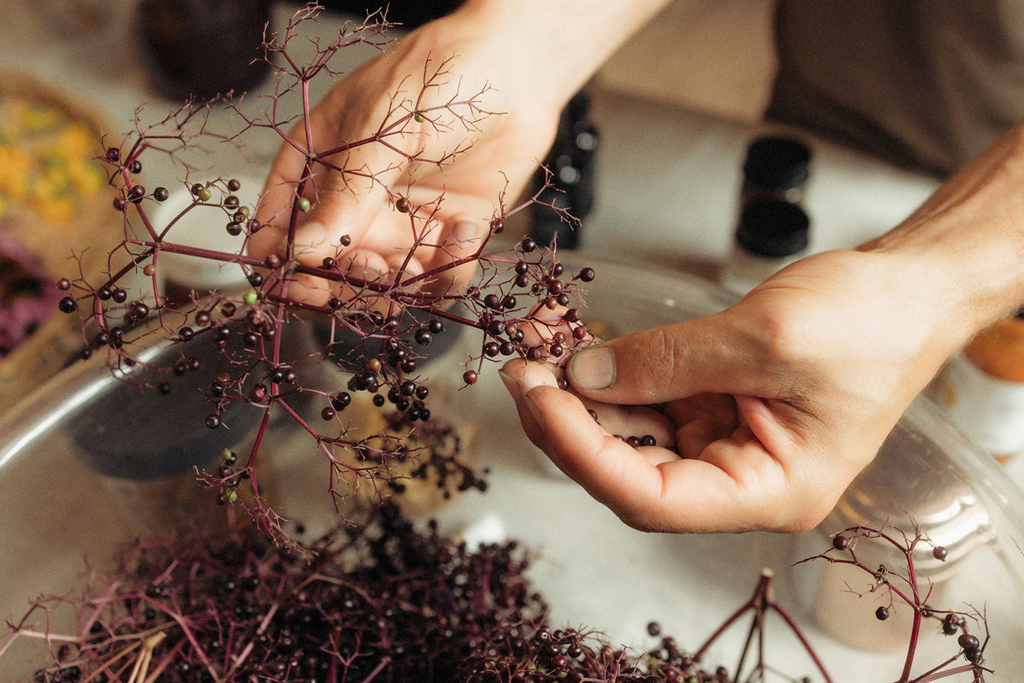 Elderberry Syrup
