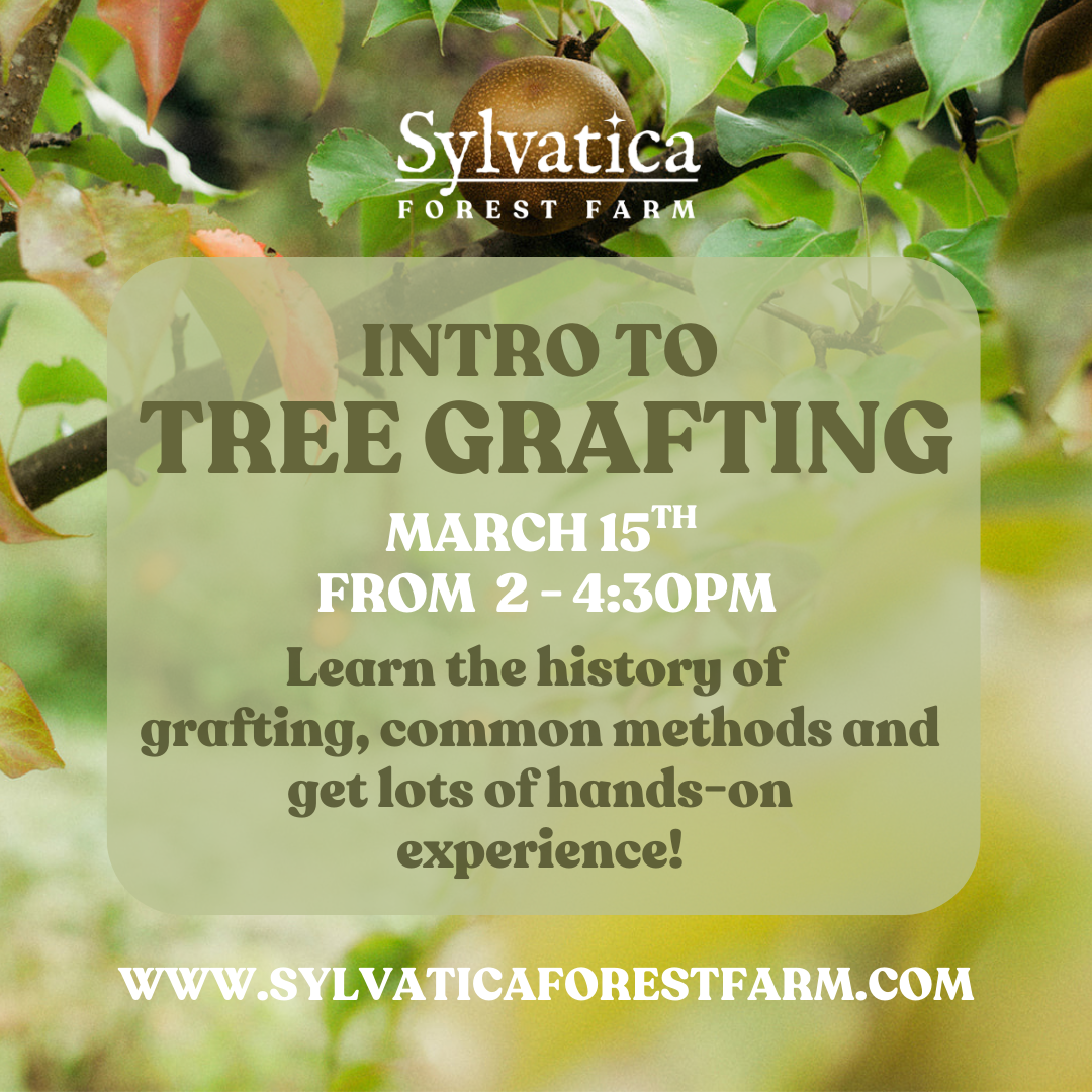 Fruit Tree Grafting Workshop - March 15th from 2pm to 4:30pm
