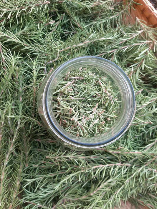 Rosemary Hydrosol - face toner