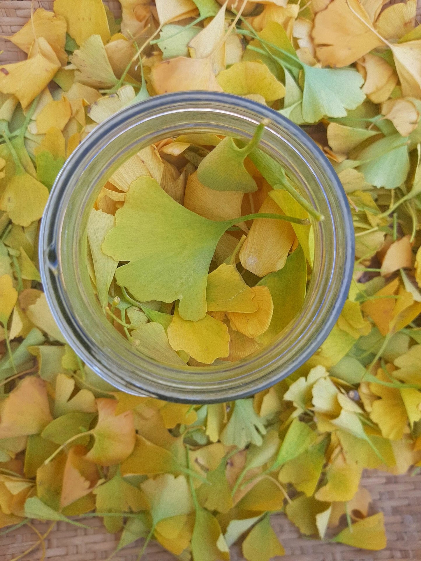 Focus - Botanical extract 1oz