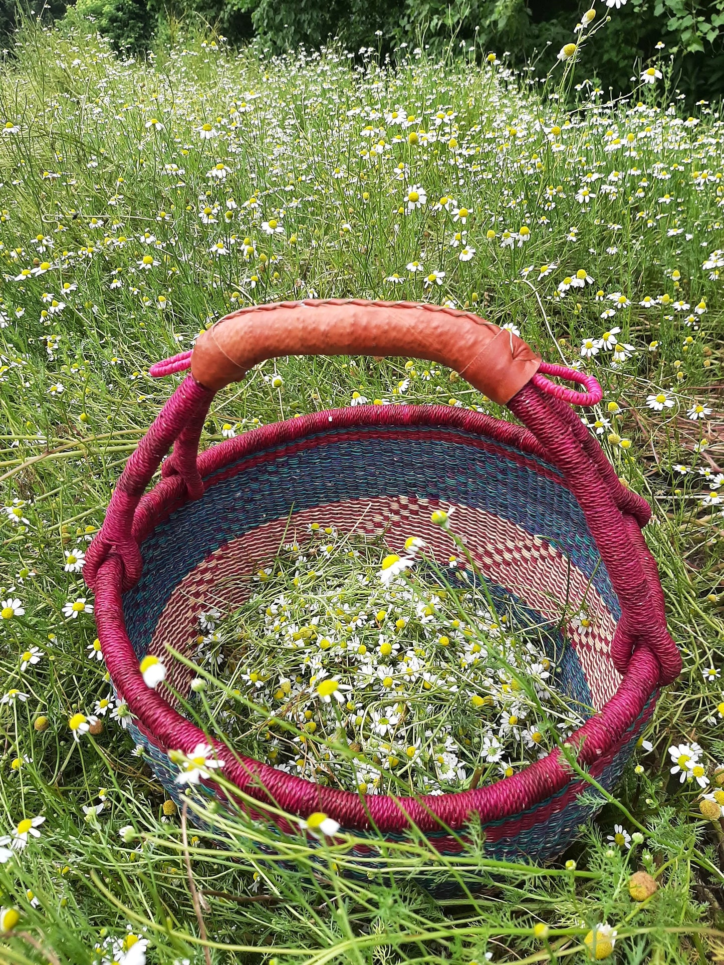 Sleepy Beauty - Herbal sleep-aid extract