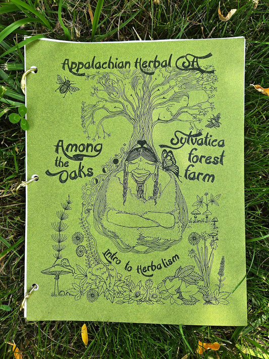 Intro to Herbalism