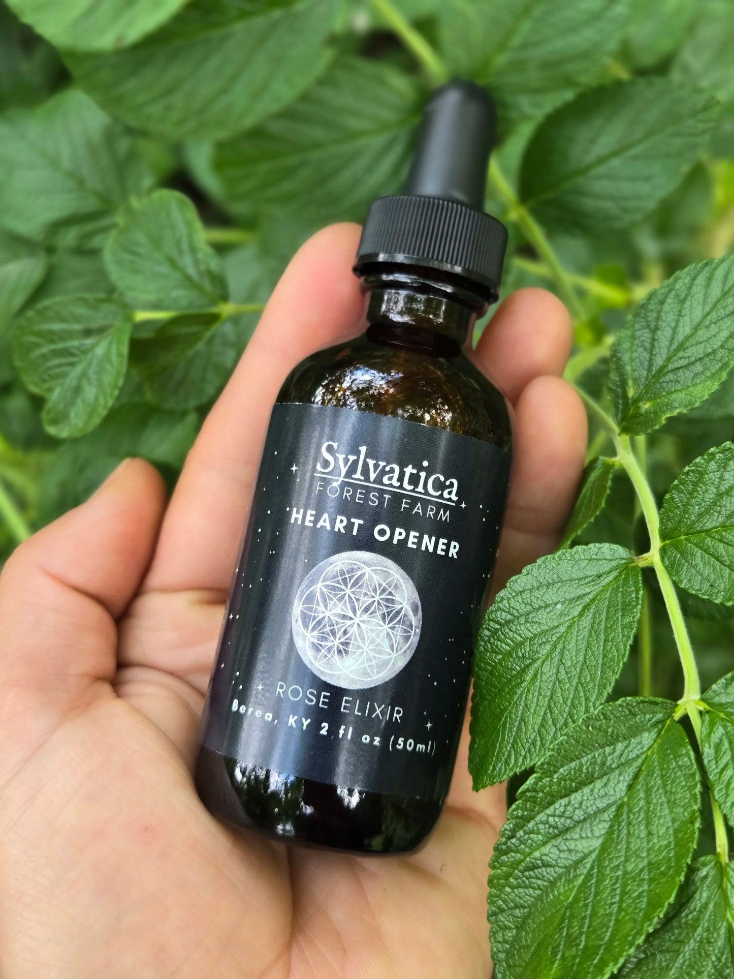 Heart Opener - Rose Elixir