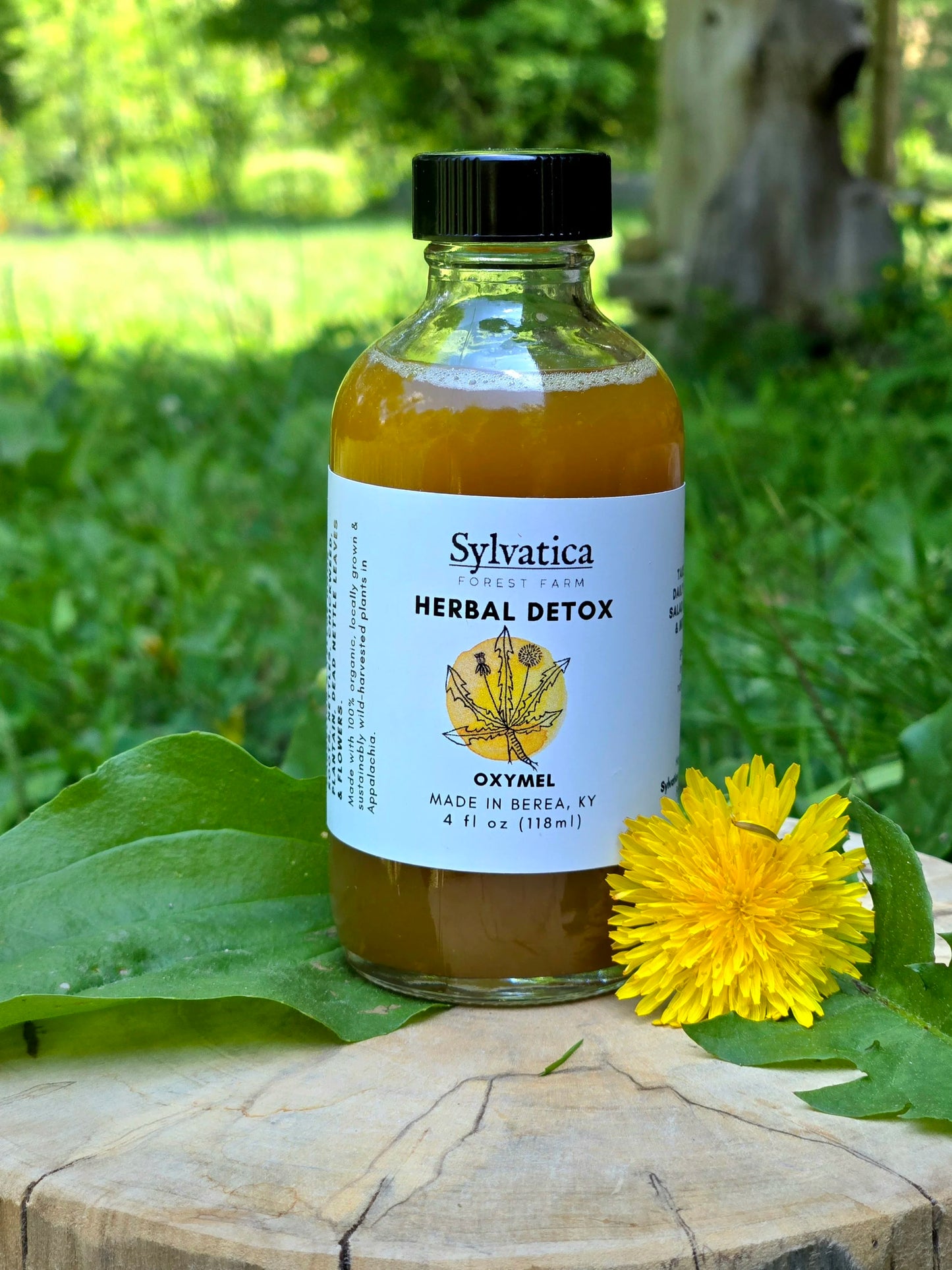 Herbal Detox Oxymel