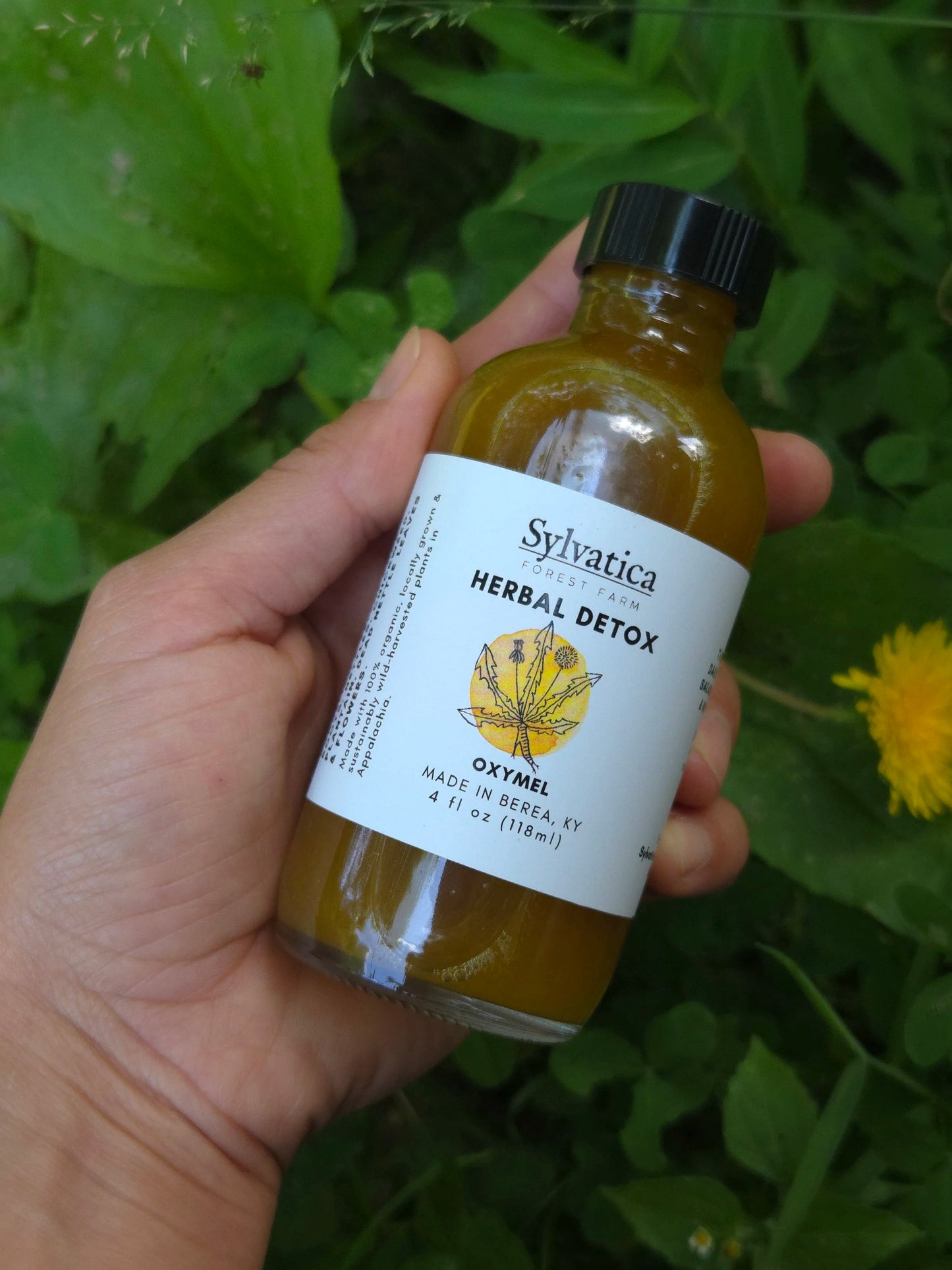 Herbal Detox Oxymel