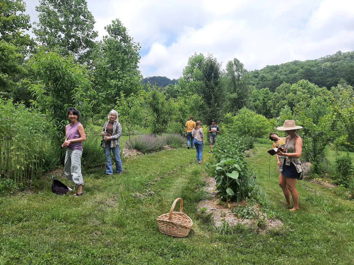 Appalachian Herbal CSA Subscriptions