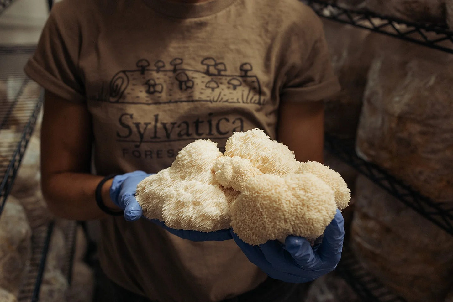 Lions Mane Dark Chocolate