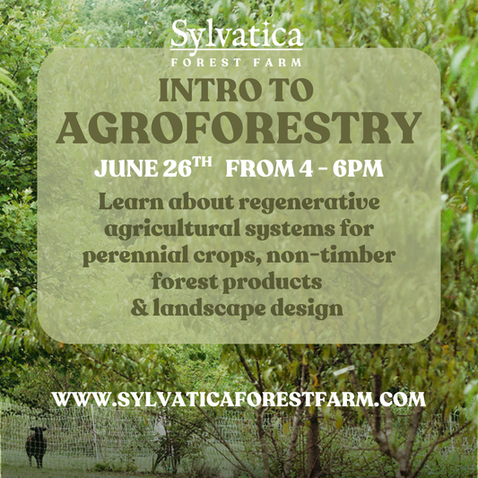 Intro to Agroforestry - July 26th from 4pm to 6pm