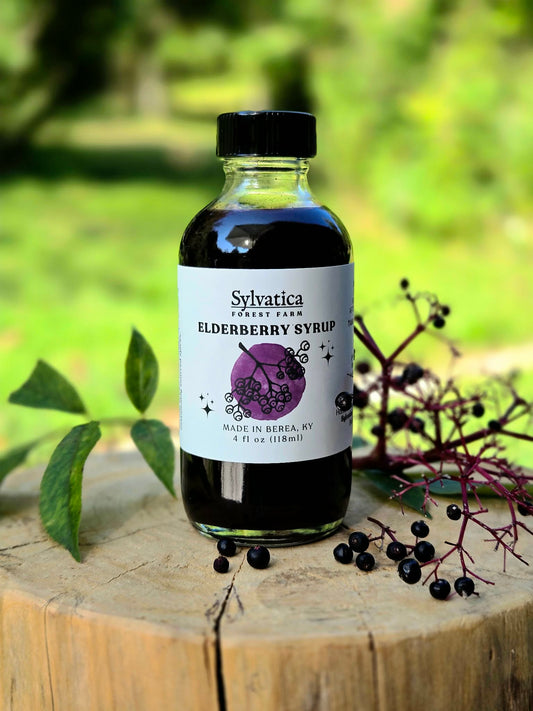 Elderberry Syrup