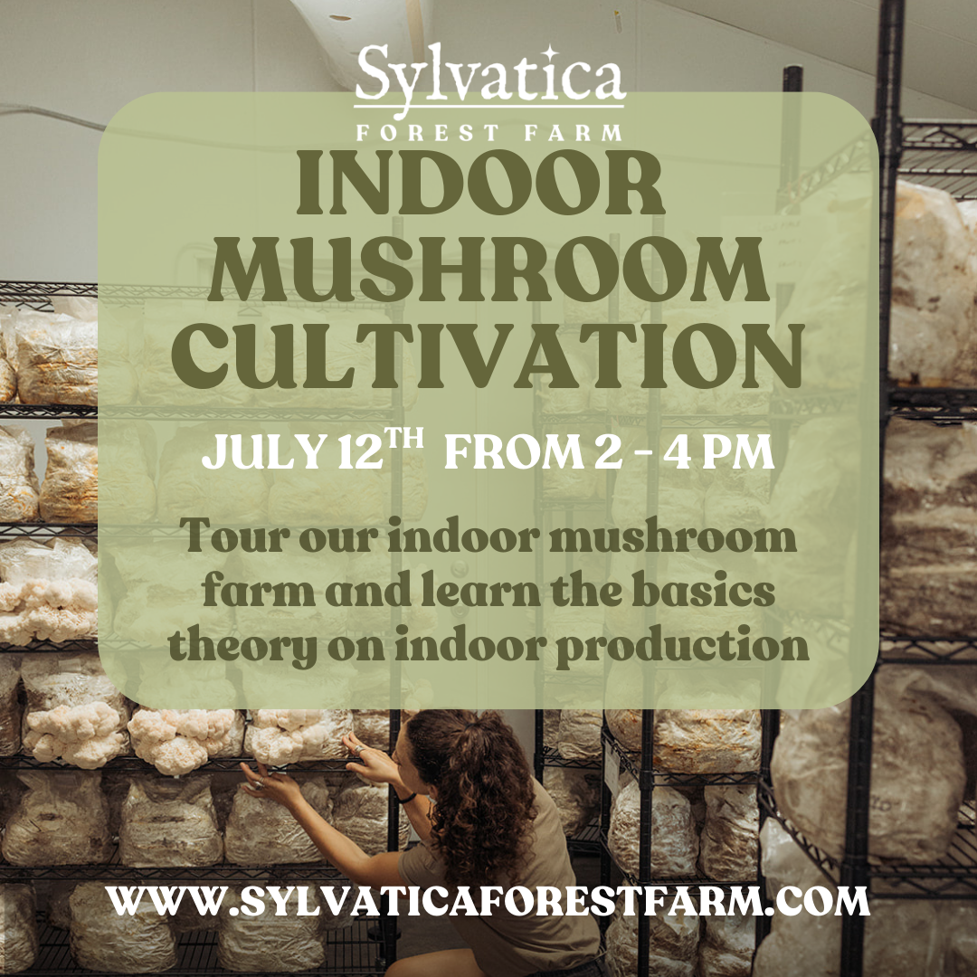 Indoor Mushroom Cultivation Workshop - Tour and Basics | July 12th from 2pm to 4pm