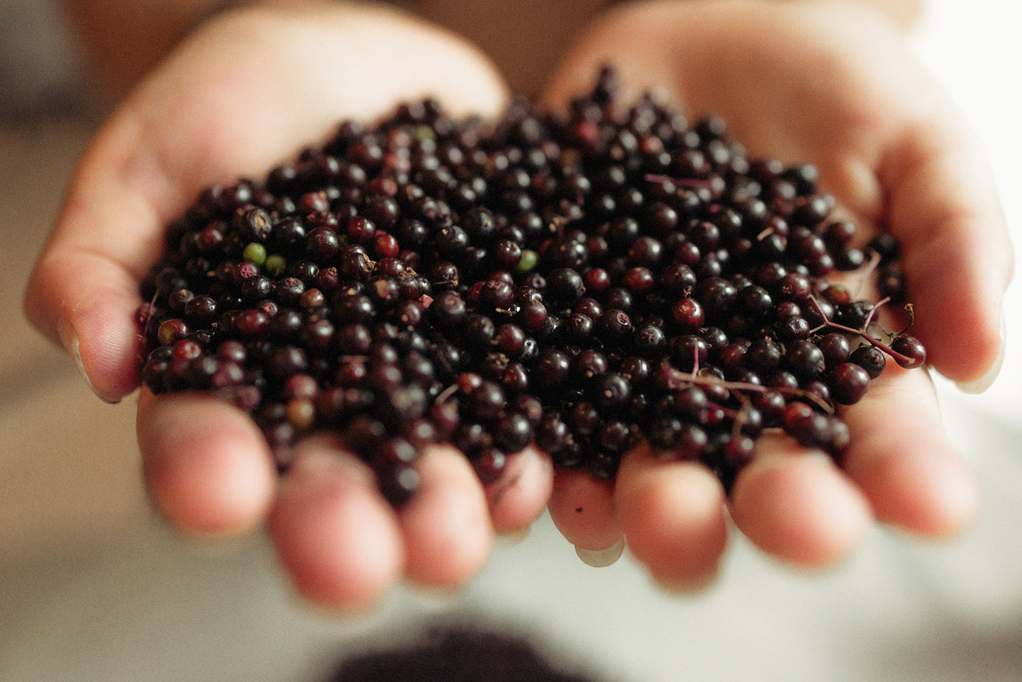 Elderberry Syrup