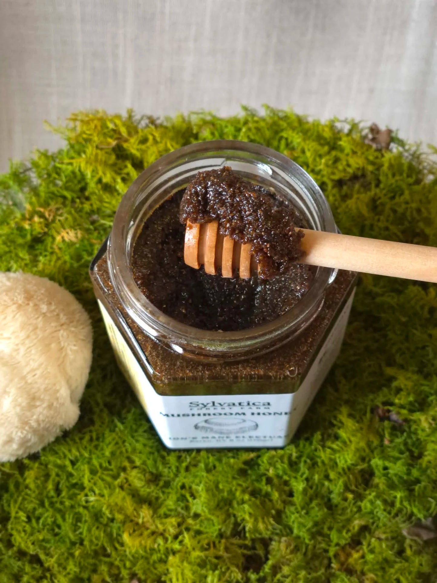 Mushroom Honey - Lion's Mane infused