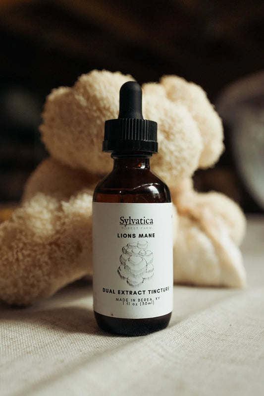 Lion's Mane Dual Extract