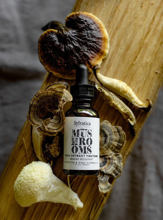 Mushroom Blend Dual Extract