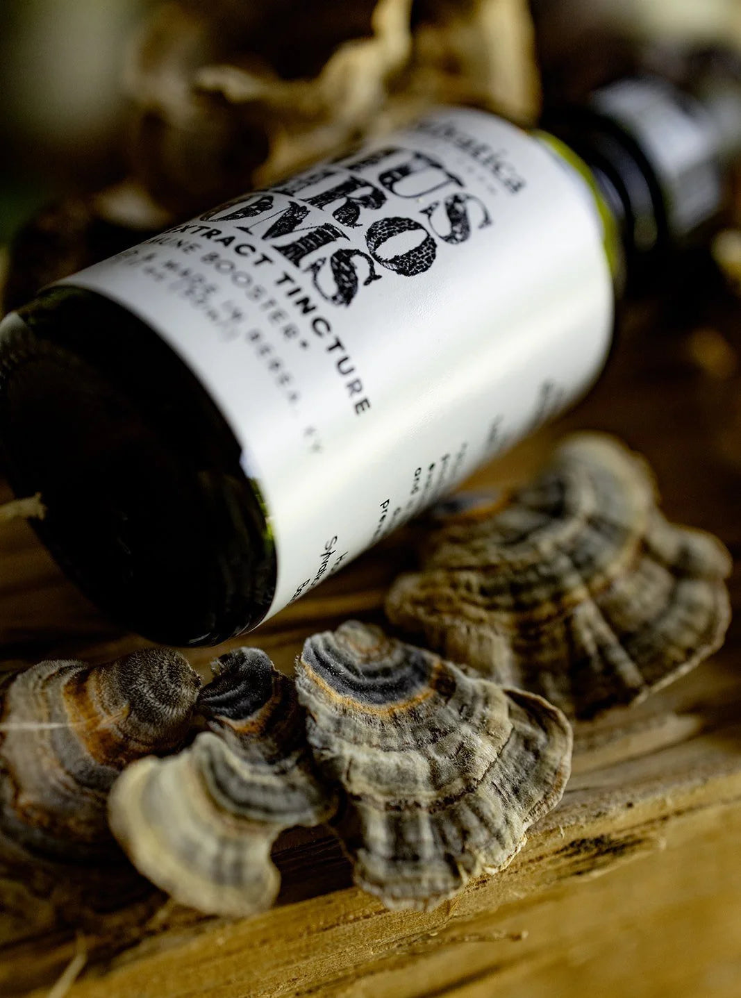 Mushroom Blend Dual Extract