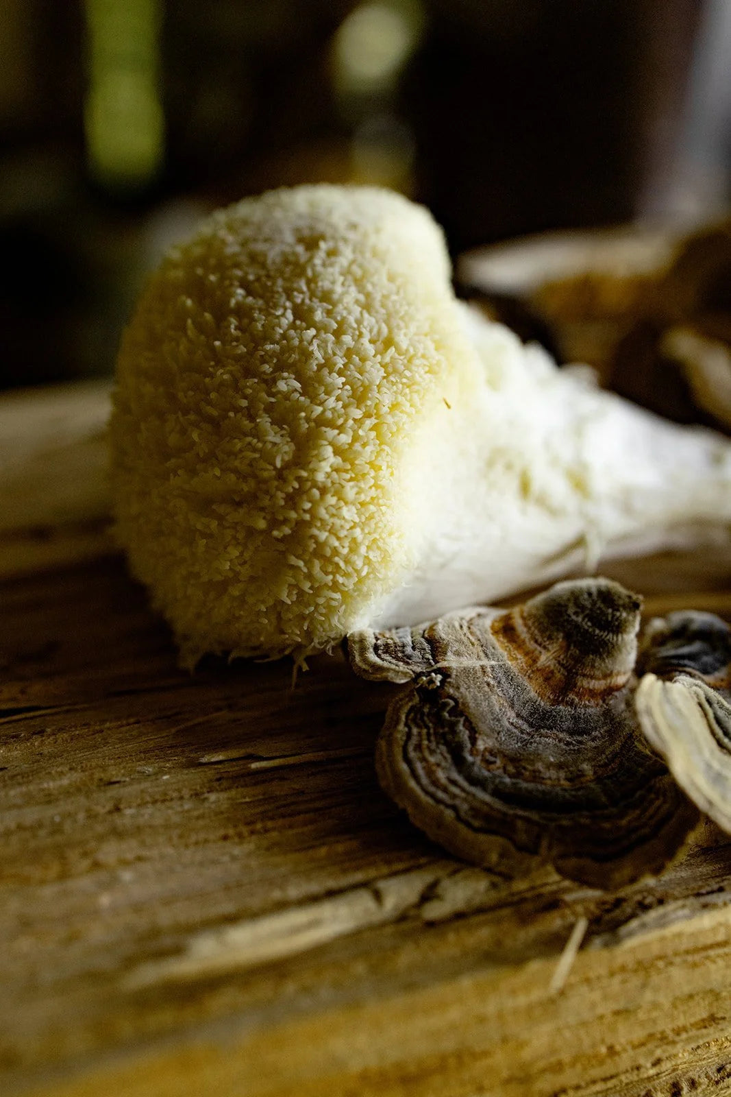 Mushroom Blend Dual Extract