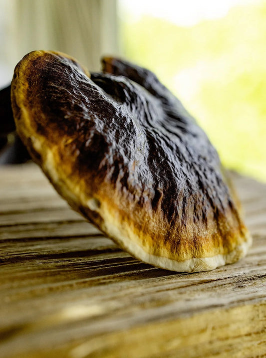 Mushroom Blend Dual Extract