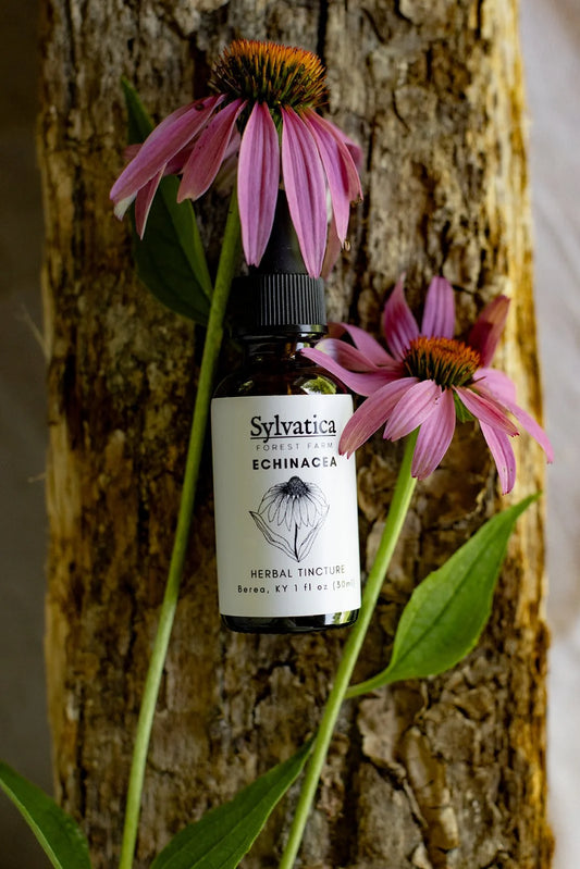 Immune Booster Extract