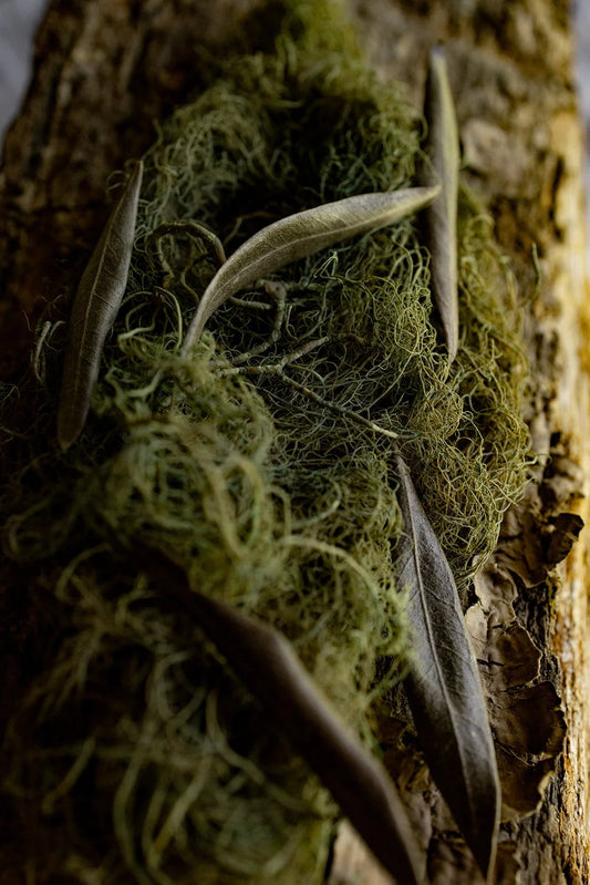 Virus Defence - botanical extract