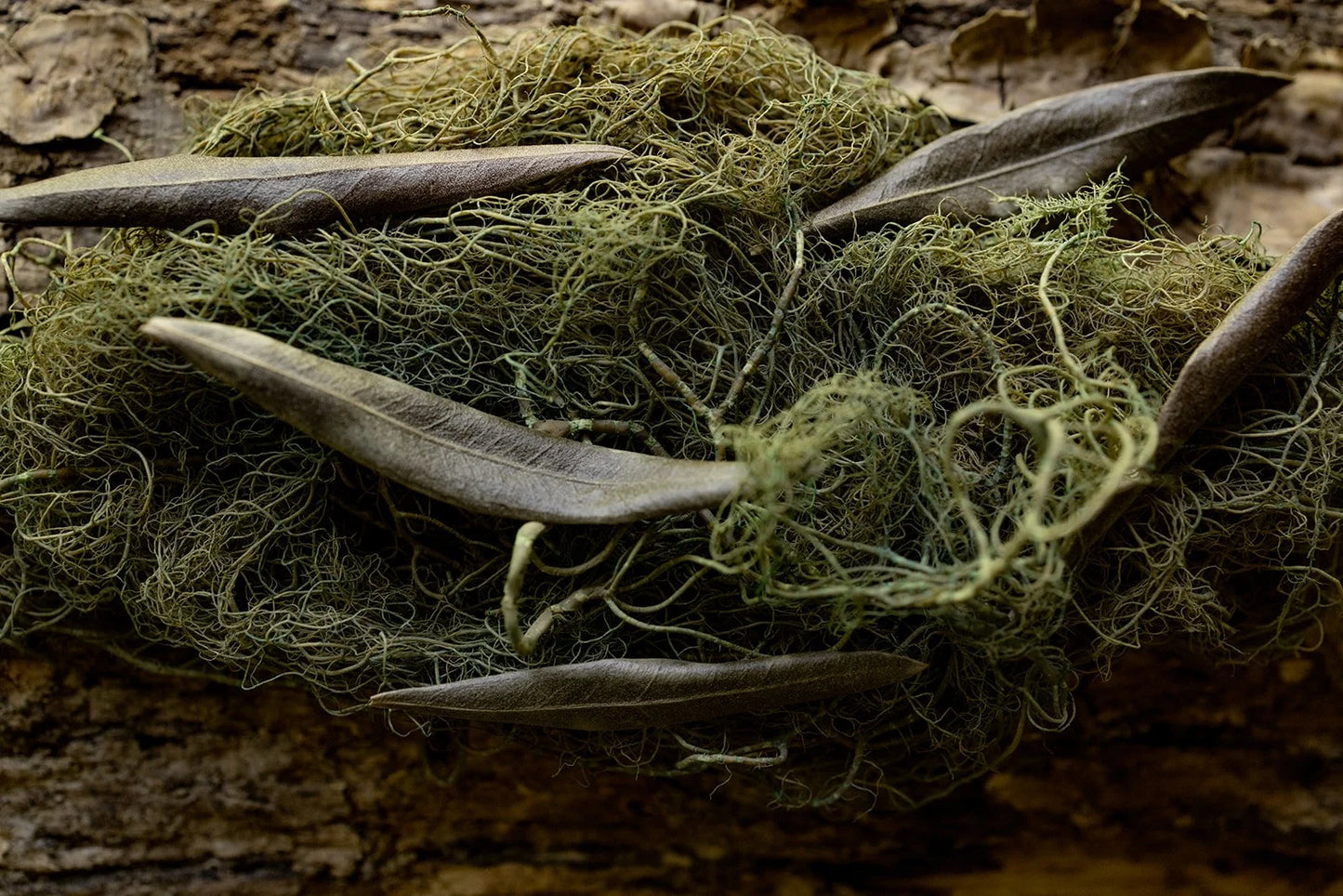 Virus Defence - botanical extract