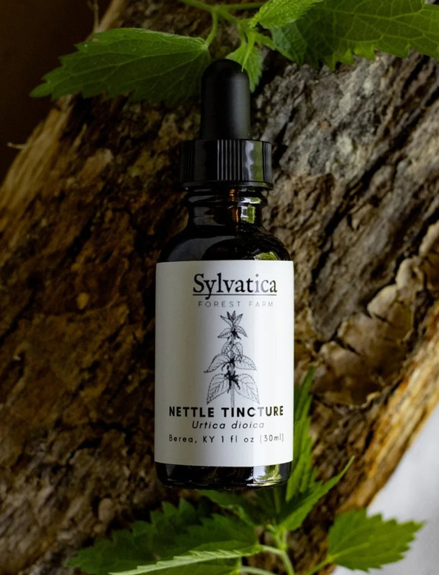 Stinging Nettle extract 1oz