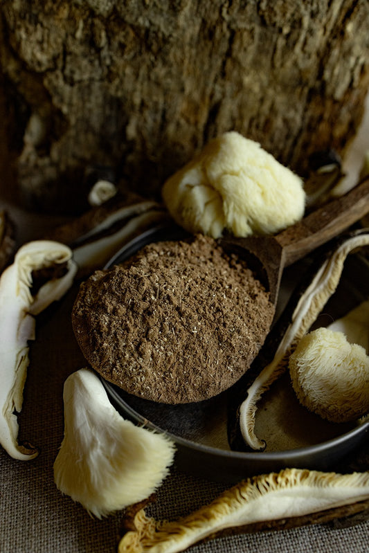 Mushroom Hot Cacao Mix