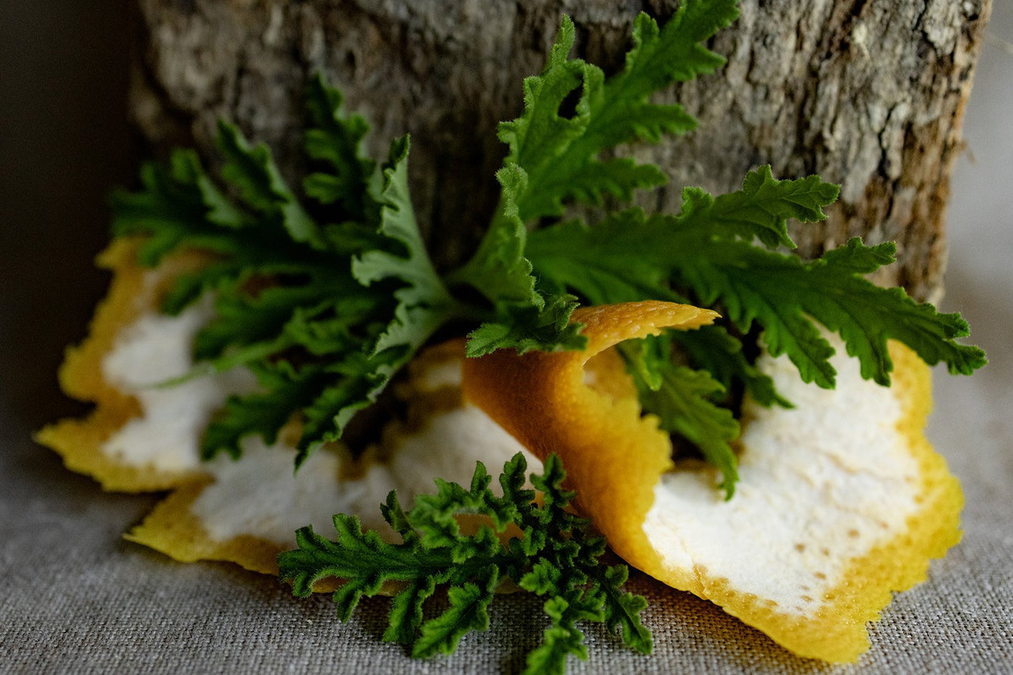 Bug-Off - Herbal Bug Spray