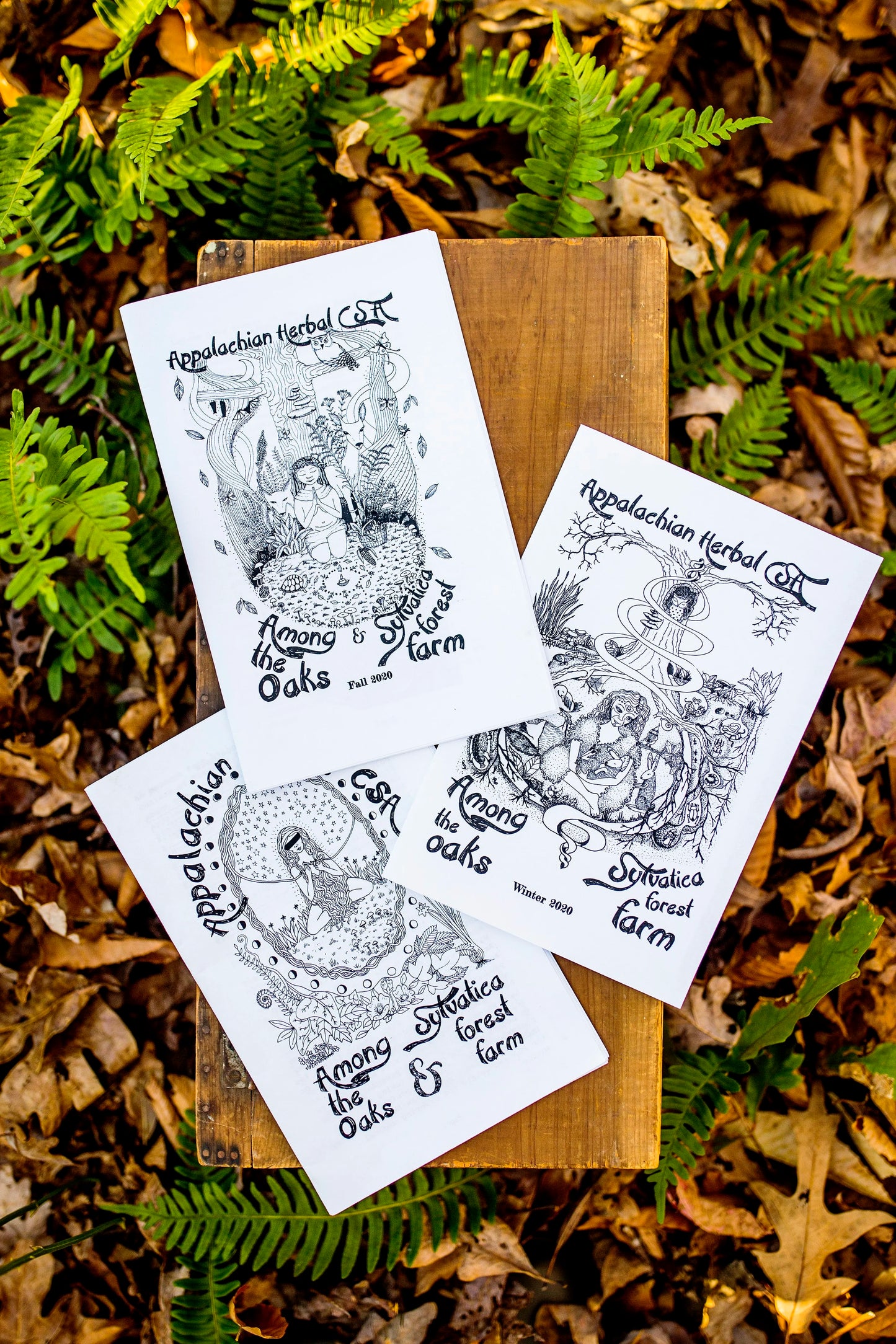 Appalachian Herbal CSA Subscriptions