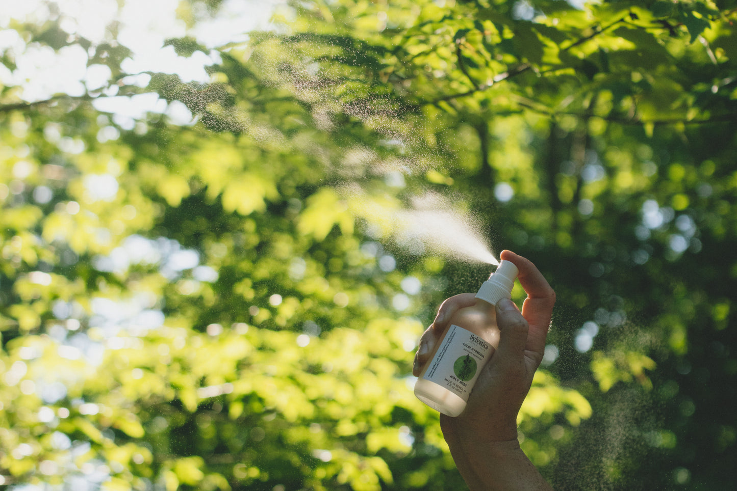 Lemon Verbena Hydrosol - face toner