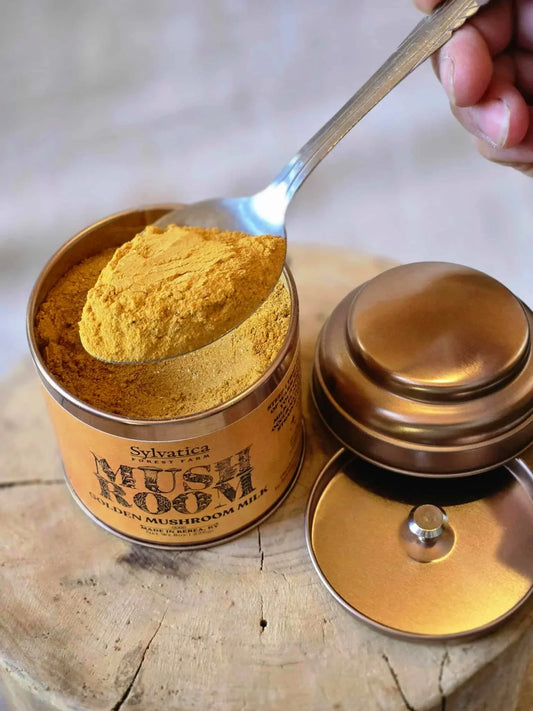 Golden Mushroom Milk